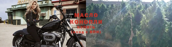 ГАЛЛЮЦИНОГЕННЫЕ ГРИБЫ Абаза