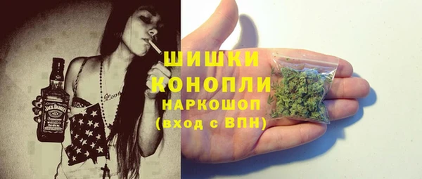 прущие грибы Абинск