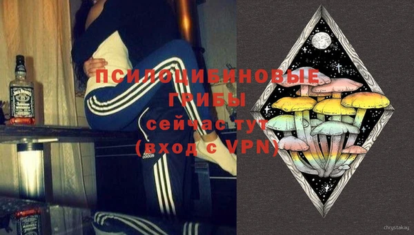 PSILOCYBIN Абдулино