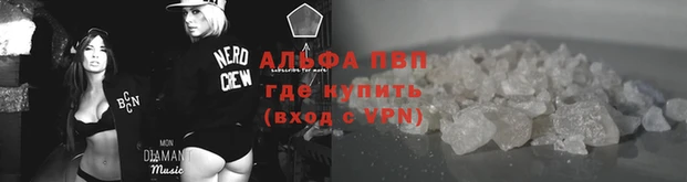 ECSTASY Нефтекумск