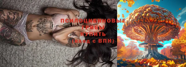 ECSTASY Нефтекумск
